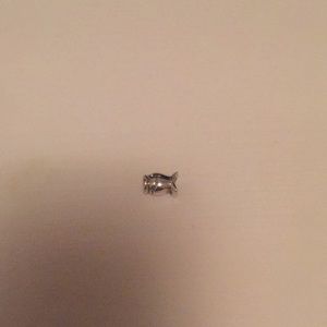 Fish pandora bead